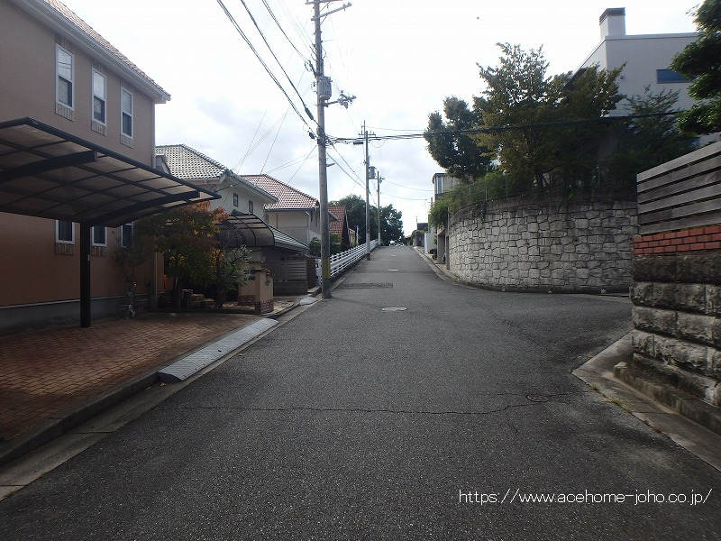 西側公道から南へ望む