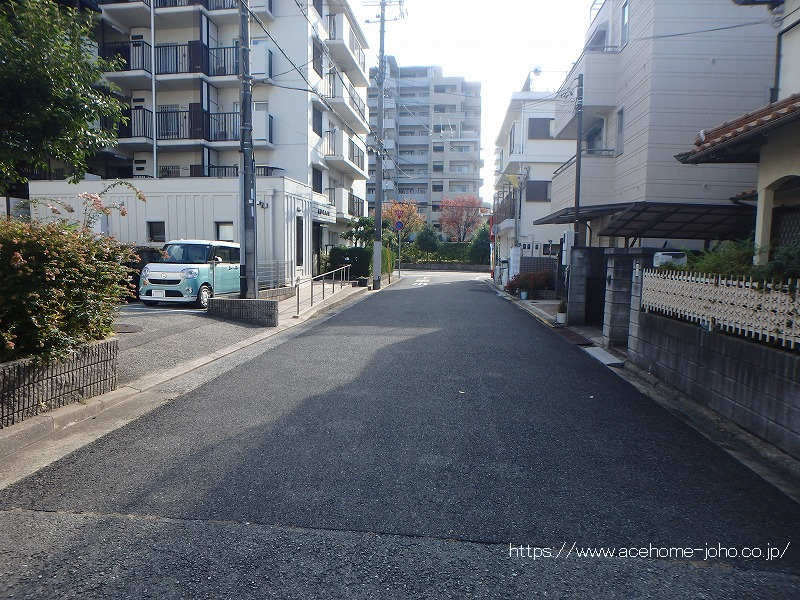 東側公道から南へ望む