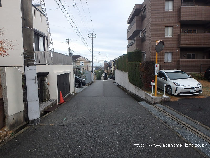 西側公道から南へ望む