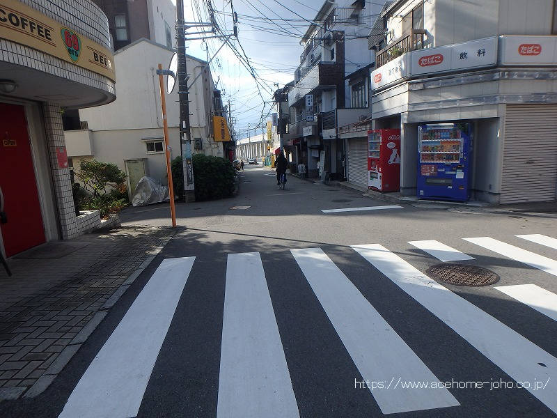 北側公道から西へ望む