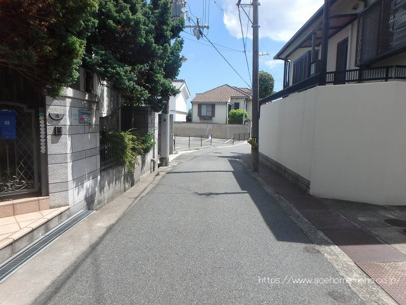 東側公道から南へ望む