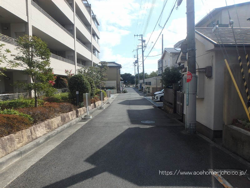 北側公道から東へ望む