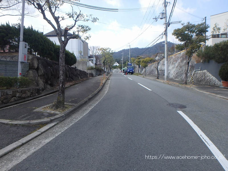 北西側公道から南西へ