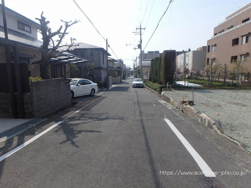 東側公道から南へ望む