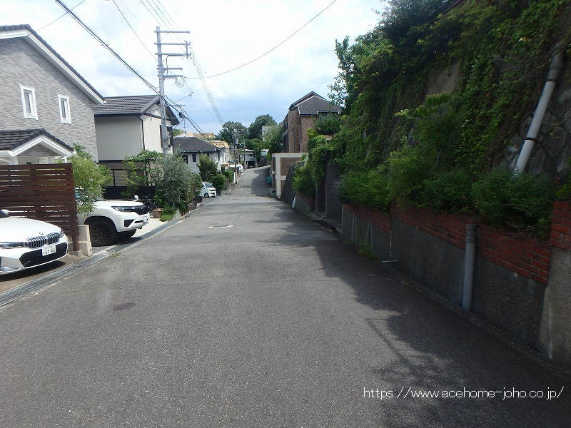 南西側公道から北西へ