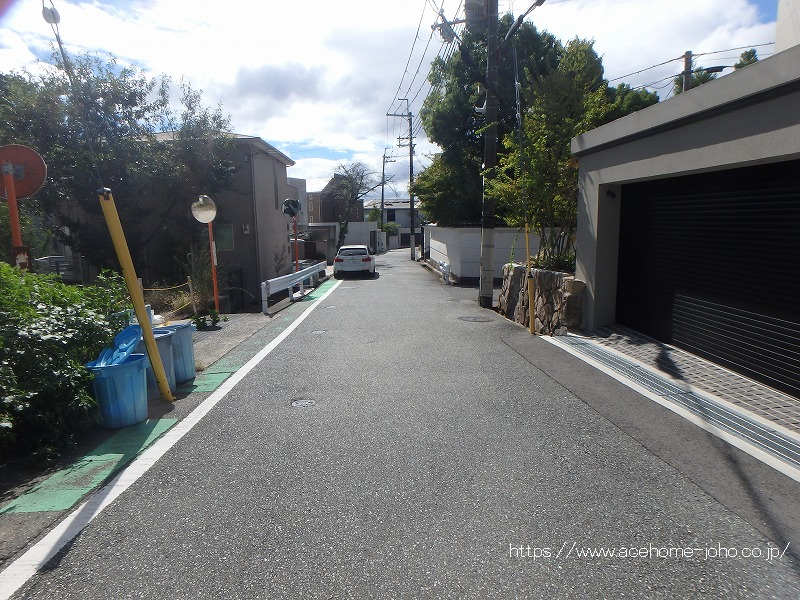 西側公道から南へ望む