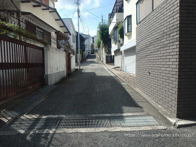 東側公道から北へ望む